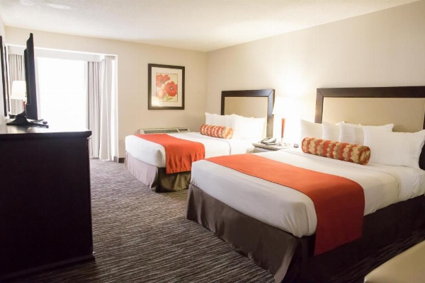 Admiral Inn Hamilton image 11