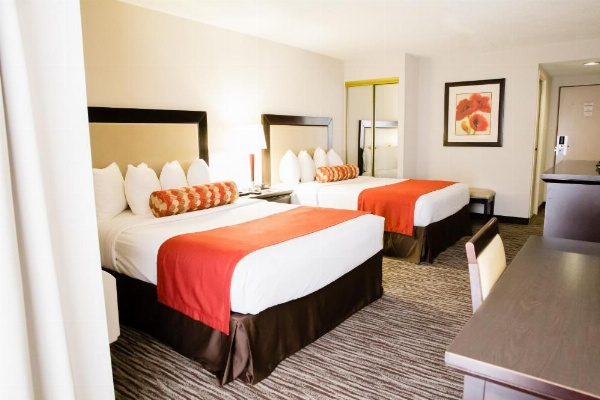 Admiral Inn Hamilton image 12